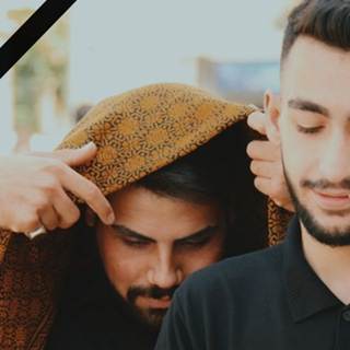 telegram channel canapus