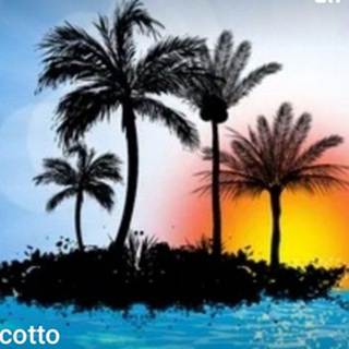 telegram channel cocotto
