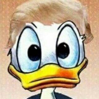 telegram channel cryptodonalt