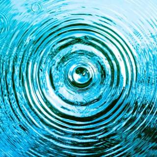 telegram channel cryptonian