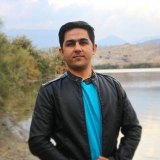 telegram channel dovit