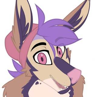 telegram channel dripponi