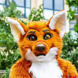 telegram channel edsol