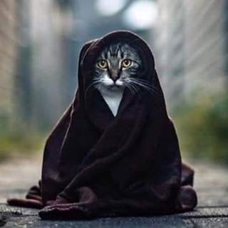 telegram channel eleftherios gkioulekas