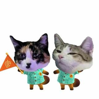 Дастин порье оливейра прямая трансляция телеграм