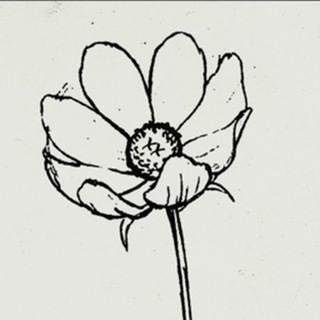 Stromrage Telegram channel