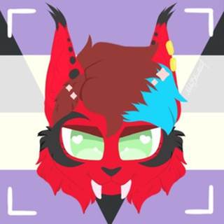 Neko Telegram channel
