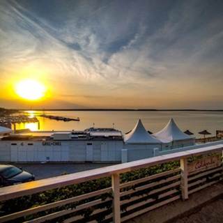 Ali Mente Telegram channel