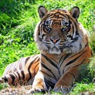 How to convert telegram group into supergroup