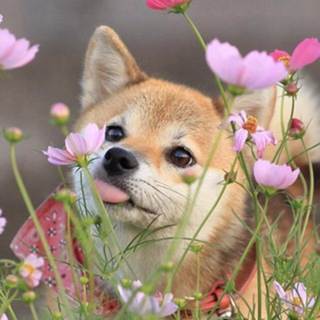 Дивергент смотреть онлайн hdrezka телеграм