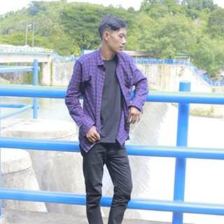 Harnis