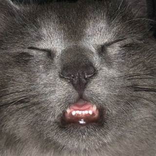 Æ
