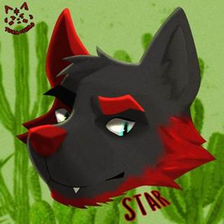 Star, the minstrel boy (PM only friends)