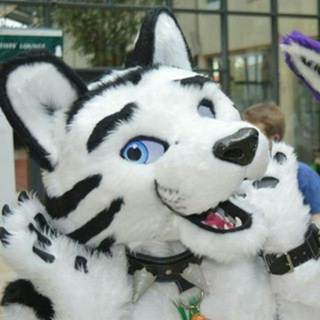 Rico Tiger