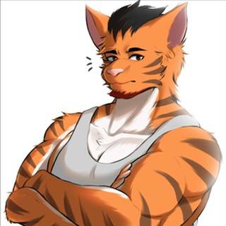 Tora Z.