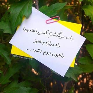 رفیعی نژاد