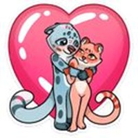 cat tenderness