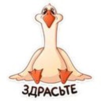 Goose Fedka