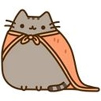 Pusheen 3
