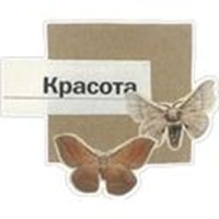 Letters from the newspaper