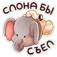 Pitonchik Donut