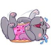 nyan cat decal