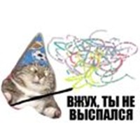 Whoa cat