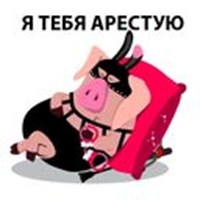 bdsm pigs