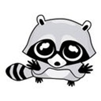 Raccoon