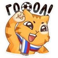 Football fans