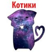 Space Cats