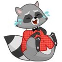 Raccoon Matvey