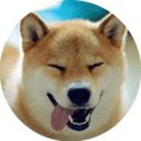 Shiba Inu dog