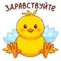 Chubchik