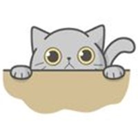 Fulmun cat