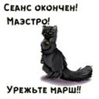 Behemoth cat