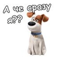 The Secret Life of Pets
