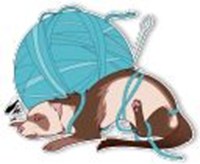 Ferret
