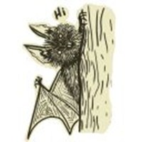 Bat Ignat