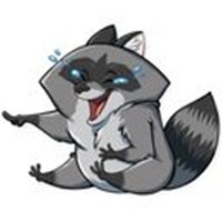 Raccoon Elisha