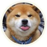 Akita Inu