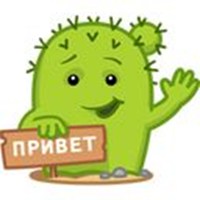 Cactus Kolya