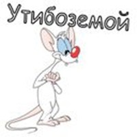 Pinky and the Brain