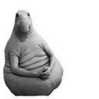 Zhdun