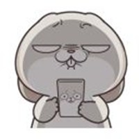 cute rabbit
