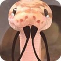funny snakes