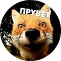 Meme foxes