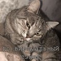 Purrs