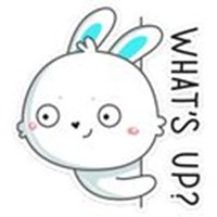Rabbit Oleg