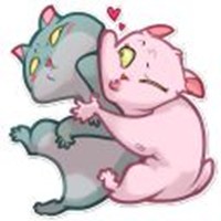 cute kitties